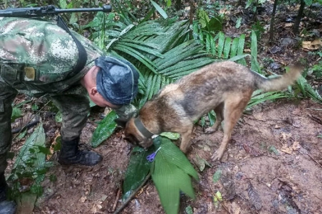 В джунглях Колумбии ищут четверых детей, которые могли выжить после крушения самолета - ФОТО/ВИДЕО
